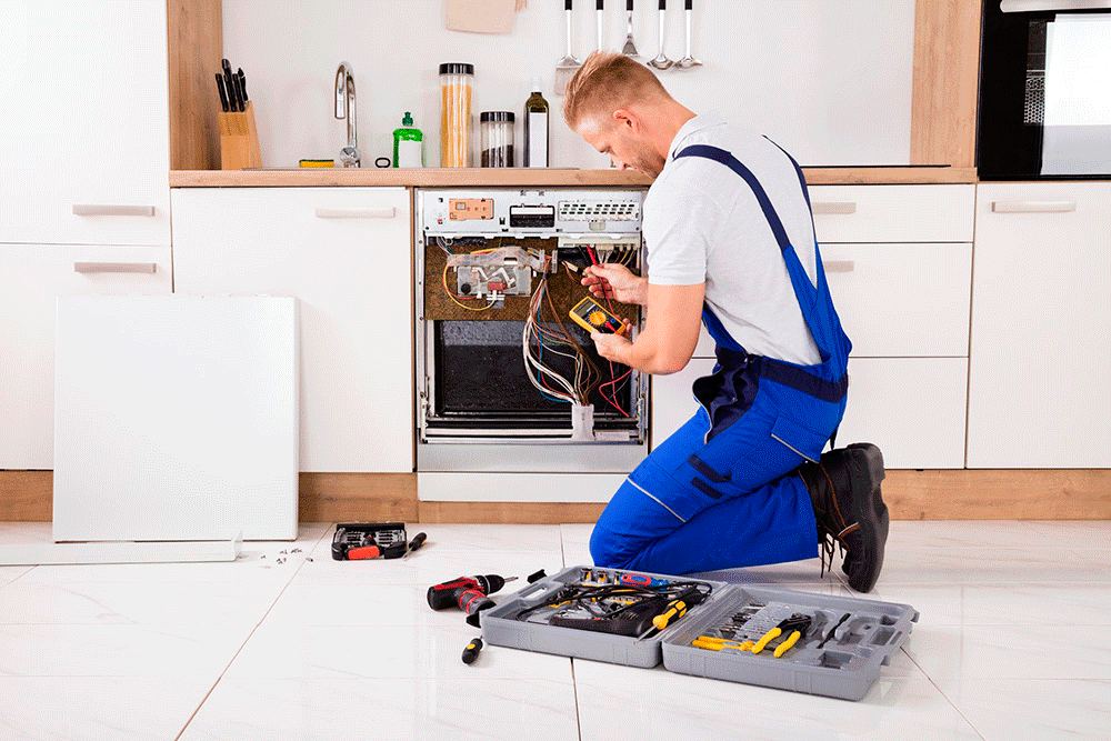 Ремонт посудомоечных машин Electrolux в Дагестанских Огнях в октябре